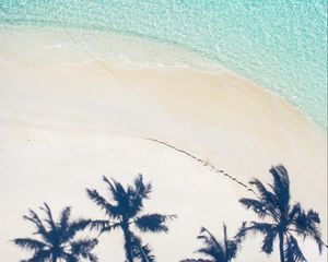Preview wallpaper beach, palm trees, aerial view, shadow, sand, water