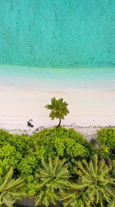 Preview wallpaper beach, palm trees, aerial view, sea, sand