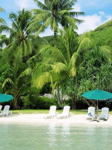 Preview wallpaper beach, palm trees, coast, sand, chaise lounges, hut