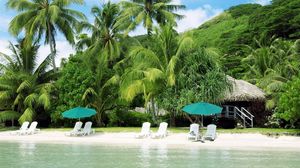 Preview wallpaper beach, palm trees, coast, sand, chaise lounges, hut