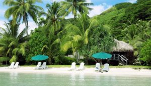 Preview wallpaper beach, palm trees, coast, sand, chaise lounges, hut