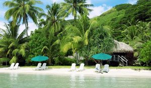 Preview wallpaper beach, palm trees, coast, sand, chaise lounges, hut