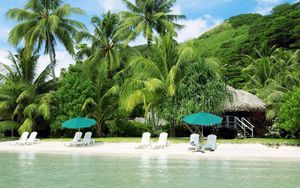 Preview wallpaper beach, palm trees, coast, sand, chaise lounges, hut