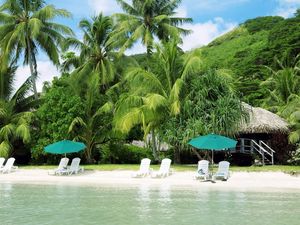 Preview wallpaper beach, palm trees, coast, sand, chaise lounges, hut