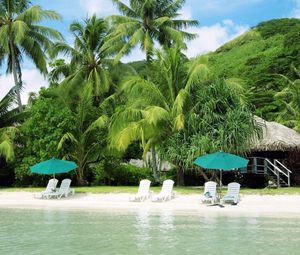 Preview wallpaper beach, palm trees, coast, sand, chaise lounges, hut