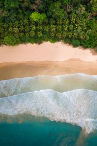 Preview wallpaper beach, palm trees, coast, waves