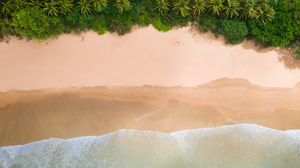 Preview wallpaper beach, palm trees, coast, waves