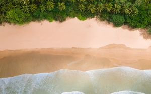 Preview wallpaper beach, palm trees, coast, waves