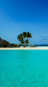 Preview wallpaper beach, palm trees, island, tropics, nature