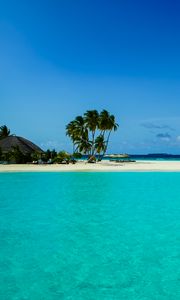 Preview wallpaper beach, palm trees, island, tropics, nature