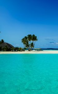 Preview wallpaper beach, palm trees, island, tropics, nature