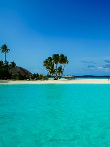 Preview wallpaper beach, palm trees, island, tropics, nature