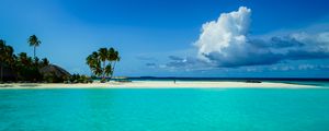 Preview wallpaper beach, palm trees, island, tropics, nature