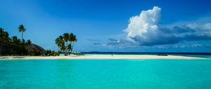 Preview wallpaper beach, palm trees, island, tropics, nature