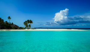 Preview wallpaper beach, palm trees, island, tropics, nature