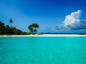 Preview wallpaper beach, palm trees, island, tropics, nature