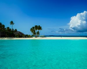 Preview wallpaper beach, palm trees, island, tropics, nature