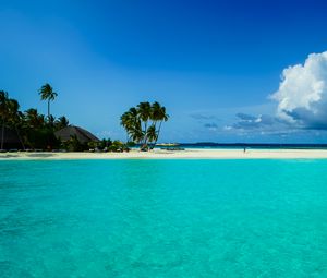 Preview wallpaper beach, palm trees, island, tropics, nature