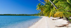 Preview wallpaper beach, palm trees, ocean, coast, tropics