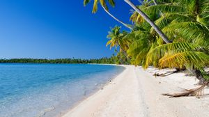 Preview wallpaper beach, palm trees, ocean, coast, tropics