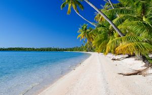Preview wallpaper beach, palm trees, ocean, coast, tropics