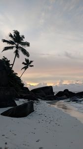 Preview wallpaper beach, palm trees, rocks, sea, twilight