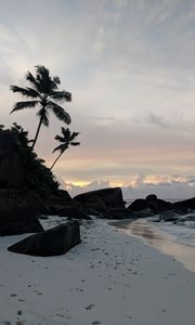 Preview wallpaper beach, palm trees, rocks, sea, twilight