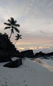 Preview wallpaper beach, palm trees, rocks, sea, twilight
