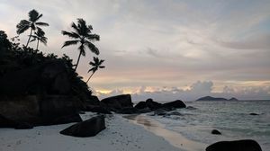 Preview wallpaper beach, palm trees, rocks, sea, twilight