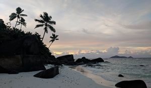 Preview wallpaper beach, palm trees, rocks, sea, twilight