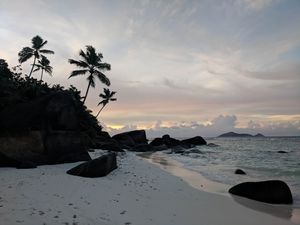 Preview wallpaper beach, palm trees, rocks, sea, twilight