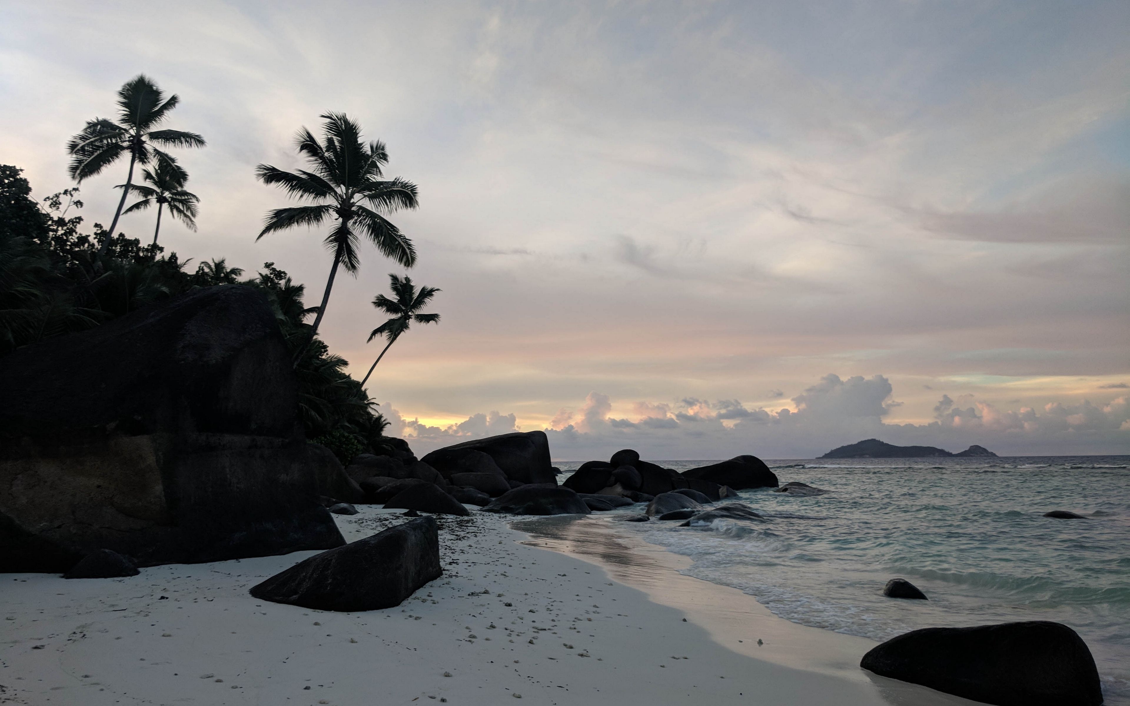 Download wallpaper 3840x2400 beach, palm trees, rocks, sea, twilight 4k