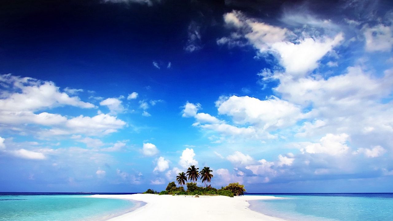 Wallpaper beach, palm trees, sand, island, land, water, gulf