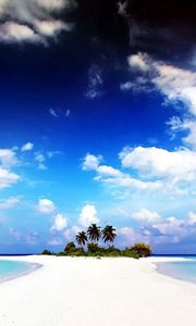 Preview wallpaper beach, palm trees, sand, island, land, water, gulf