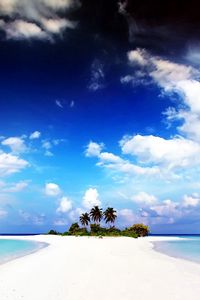 Preview wallpaper beach, palm trees, sand, island, land, water, gulf