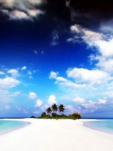 Preview wallpaper beach, palm trees, sand, island, land, water, gulf