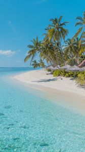 Preview wallpaper beach, palm trees, sand, water