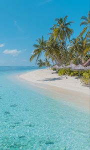 Preview wallpaper beach, palm trees, sand, water