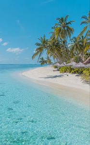 Preview wallpaper beach, palm trees, sand, water