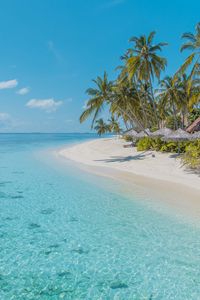 Preview wallpaper beach, palm trees, sand, water