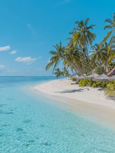 Preview wallpaper beach, palm trees, sand, water