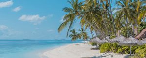 Preview wallpaper beach, palm trees, sand, water