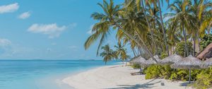 Preview wallpaper beach, palm trees, sand, water