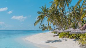 Preview wallpaper beach, palm trees, sand, water