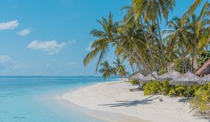 Preview wallpaper beach, palm trees, sand, water