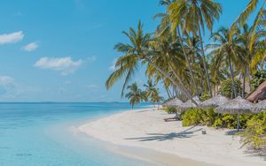 Preview wallpaper beach, palm trees, sand, water