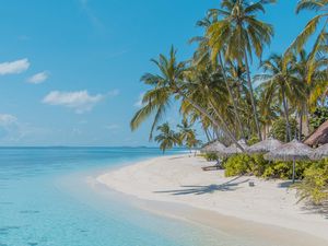 Preview wallpaper beach, palm trees, sand, water