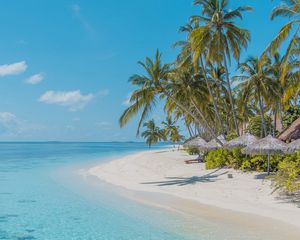 Preview wallpaper beach, palm trees, sand, water