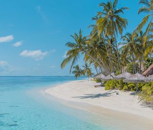 Preview wallpaper beach, palm trees, sand, water