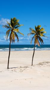 Preview wallpaper beach, palm trees, sand, sea, summer